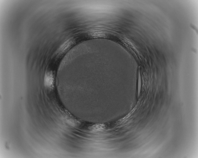 X0000097000124200802221530