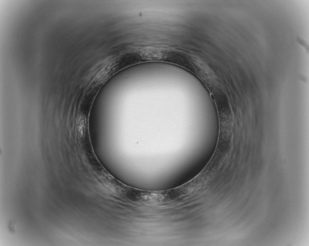 X0000097000125200802221530