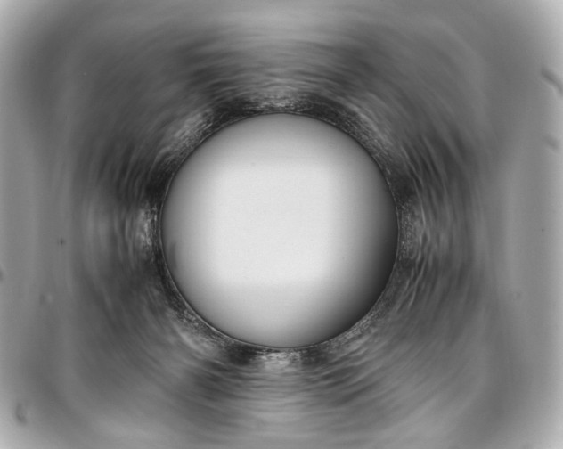 X0000097000126200802221530