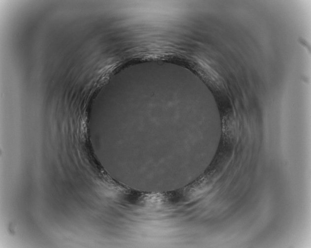 X0000097000127200802221530