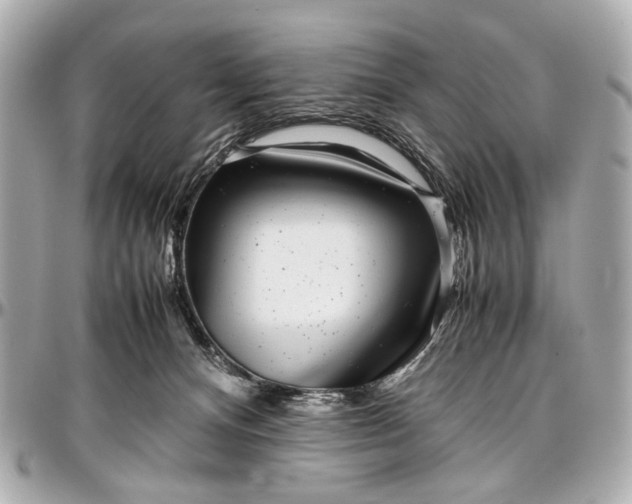 X0000097000128200802221530