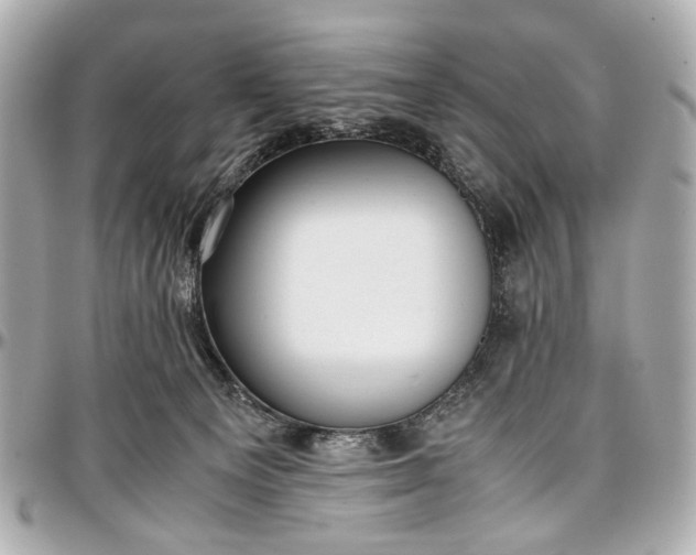 X0000097000129200802221530