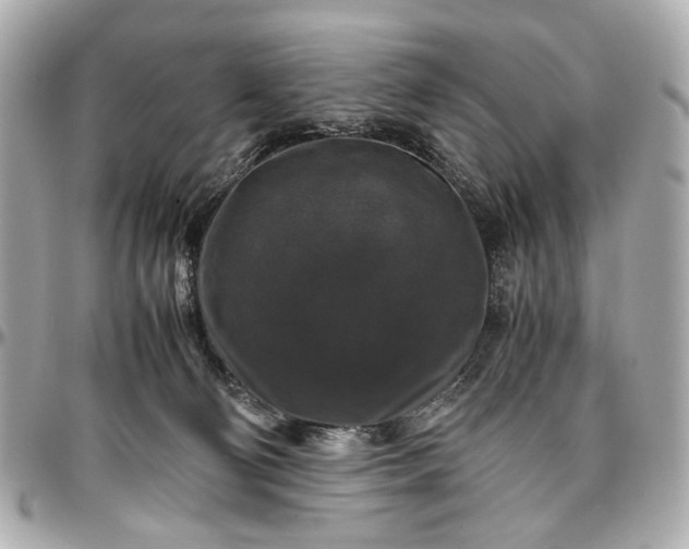 X0000097000130200802221530