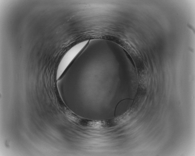 X0000097000131200802221530