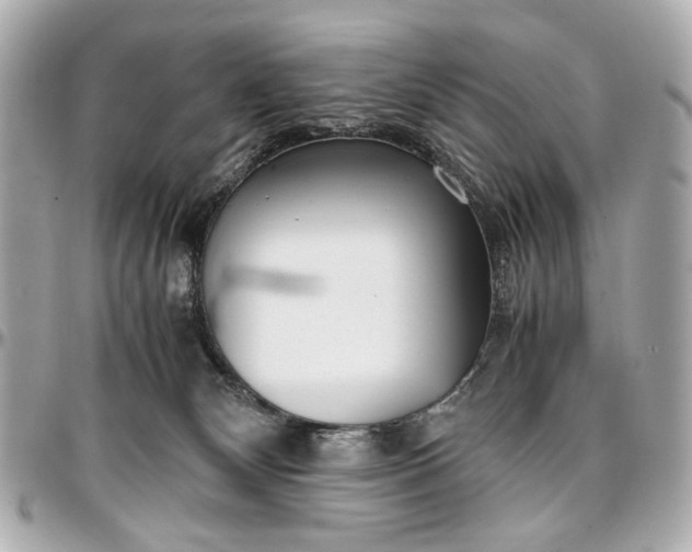 X0000097000132200802221530