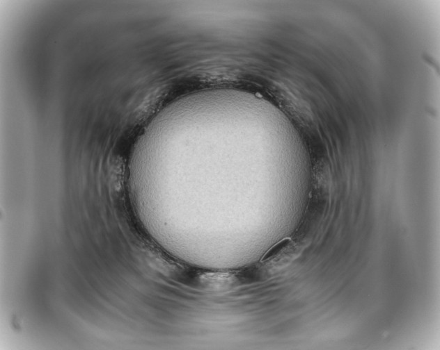 X0000097000133200802221529