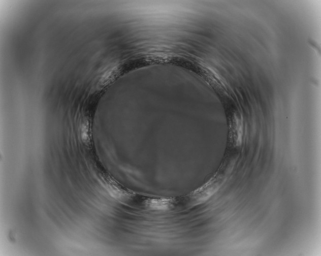 X0000097000134200802221529