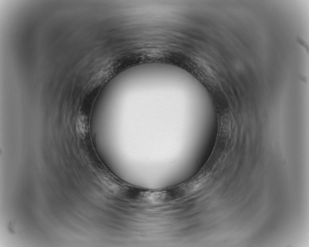 X0000097000135200802221529