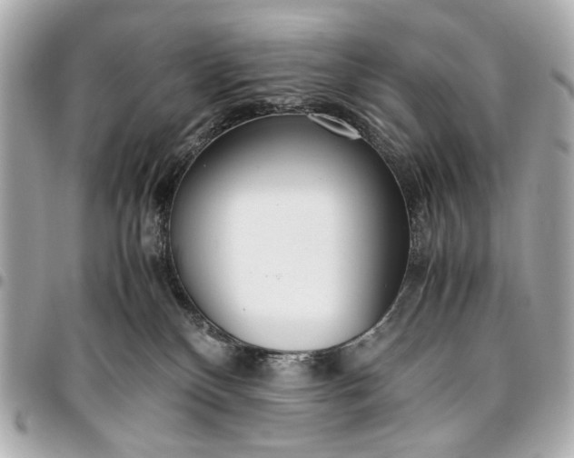 X0000097000136200802221529