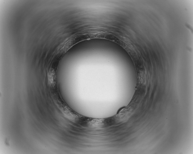 X0000097000138200802221529