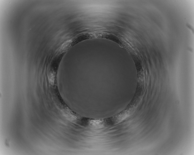 X0000097000139200802221529