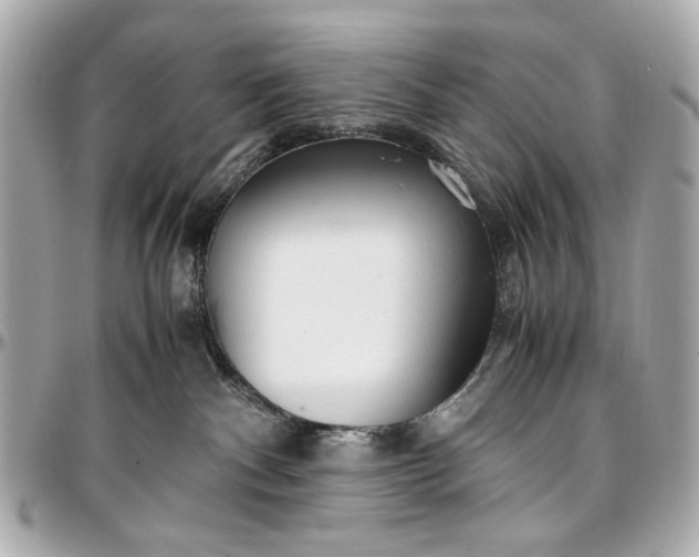 X0000097000140200802221529