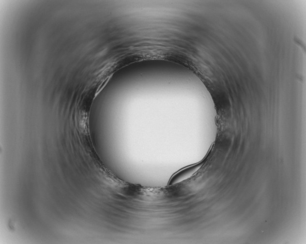 X0000097000141200802221529