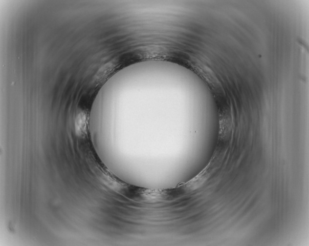 X0000097000142200802221529