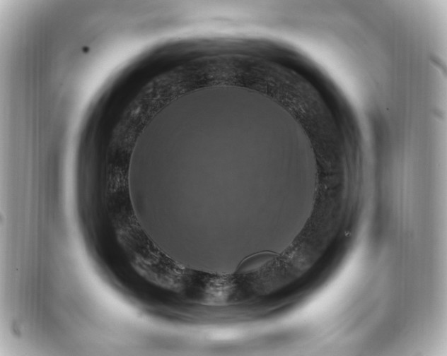 X0000097000143200802221529