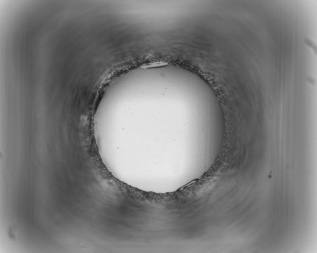 X0000097000144200802221529