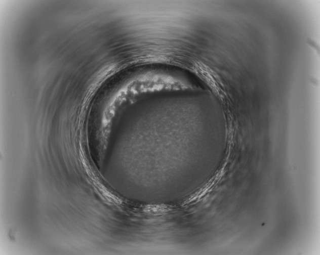 X0000097000145200802221529