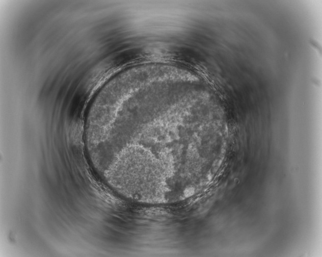 X0000097000146200802221529