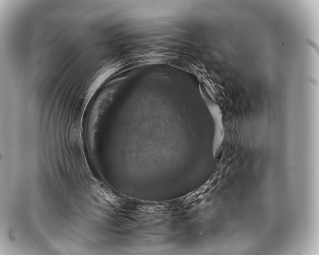 X0000097000147200802221529