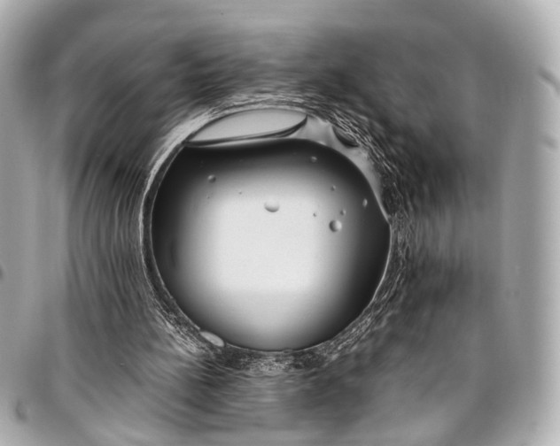 X0000097000148200802221529