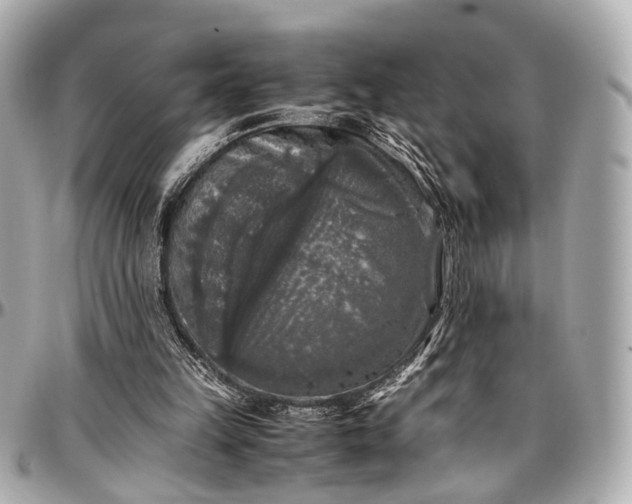 X0000097000149200802221529