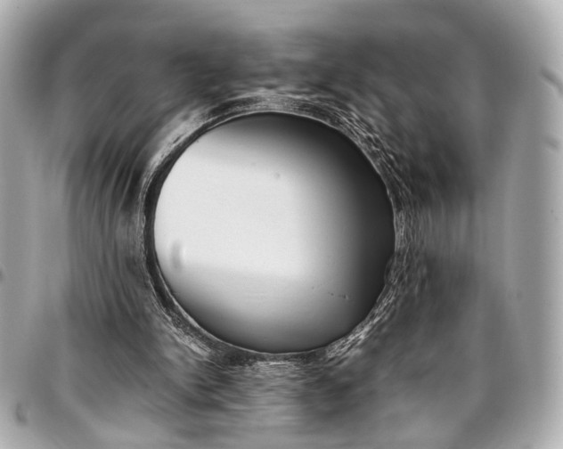 X0000097000150200802221529