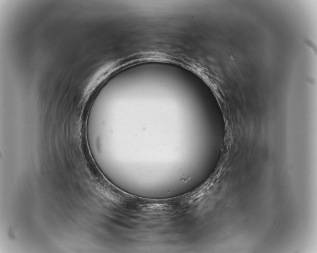 X0000097000151200802221529