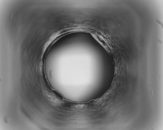 X0000097000152200802221529