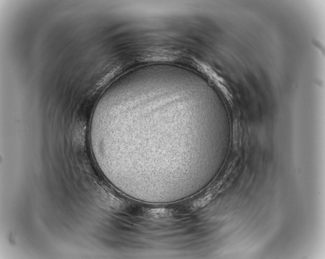 X0000097000153200802221529