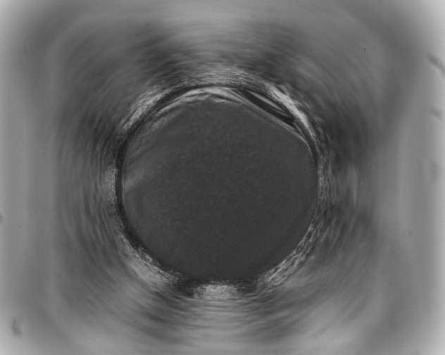 X0000097000154200802221529