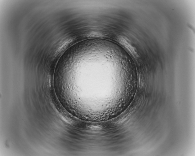 X0000097000157200802221529