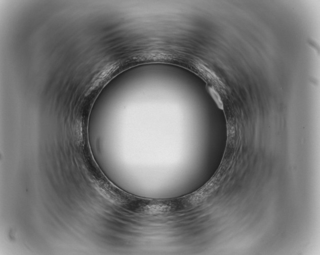 X0000097000158200802221529