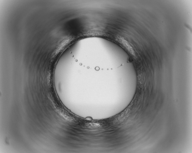 X0000097000159200802221529