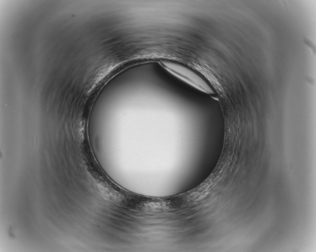 X0000097000160200802221529