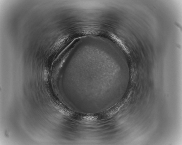 X0000097000161200802221529