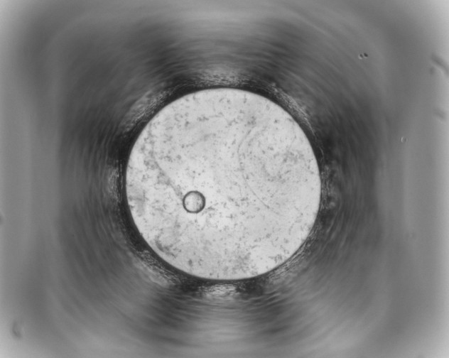 X0000097000162200802221529