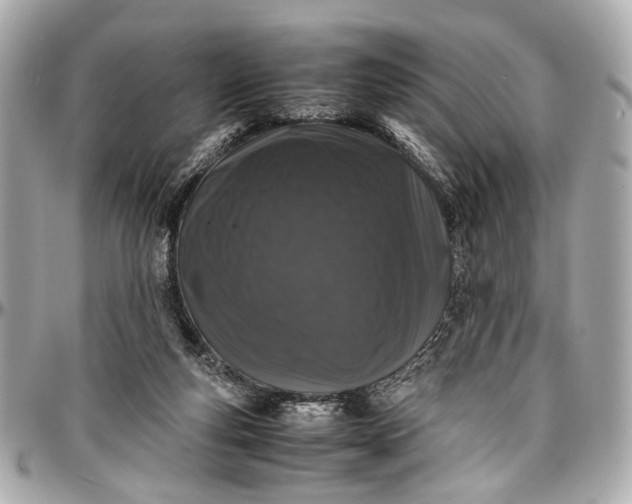 X0000097000163200802221529