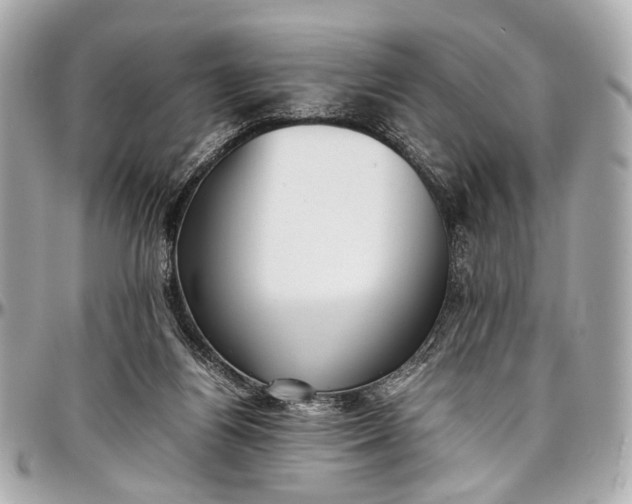 X0000097000164200802221529