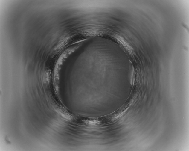 X0000097000165200802221529