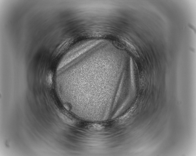 X0000097000166200802221529