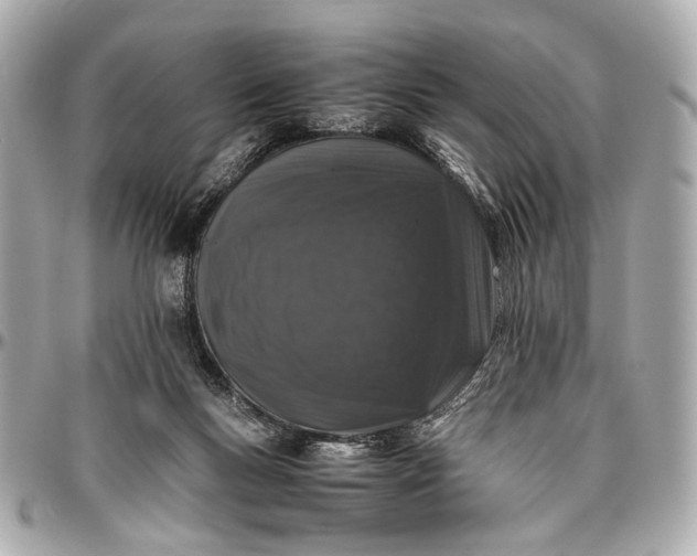 X0000097000167200802221529