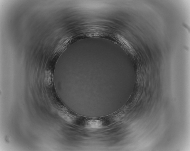 X0000097000169200802221529