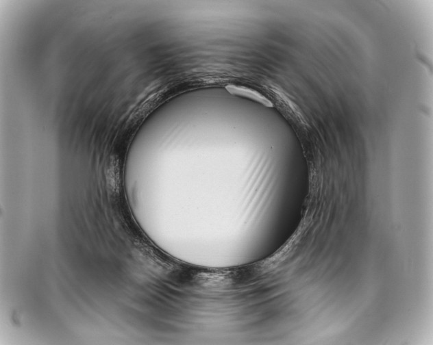 X0000097000170200802221529