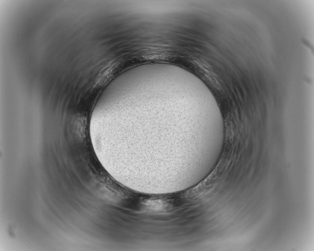 X0000097000171200802221529