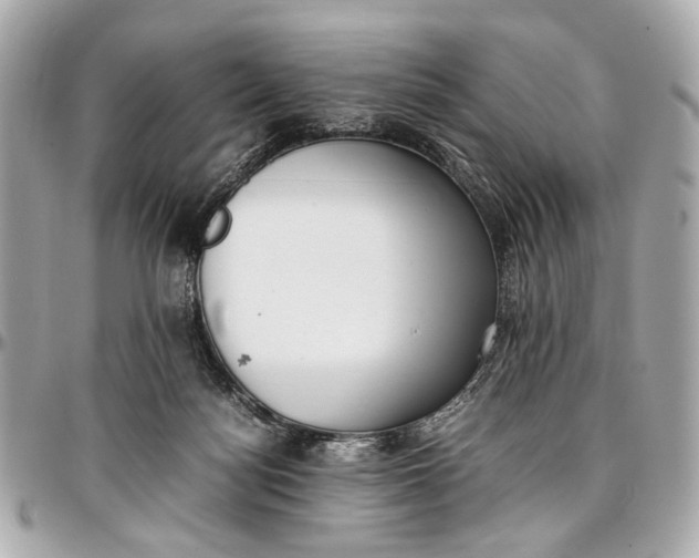 X0000097000172200802221529