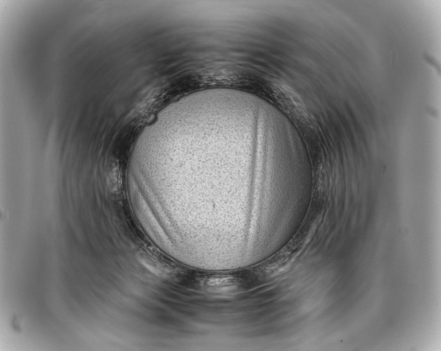 X0000097000173200802221529