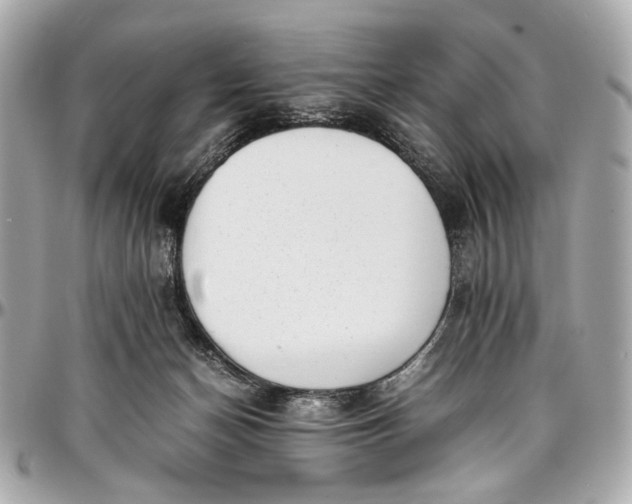 X0000097000174200802221529