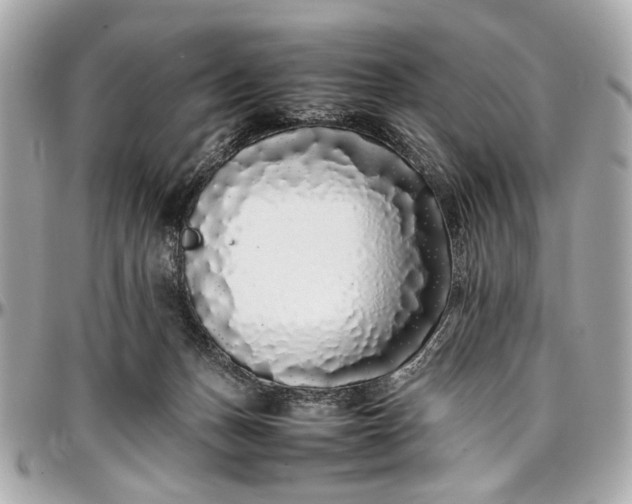 X0000097000175200802221529