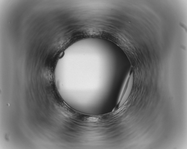 X0000097000176200802221529