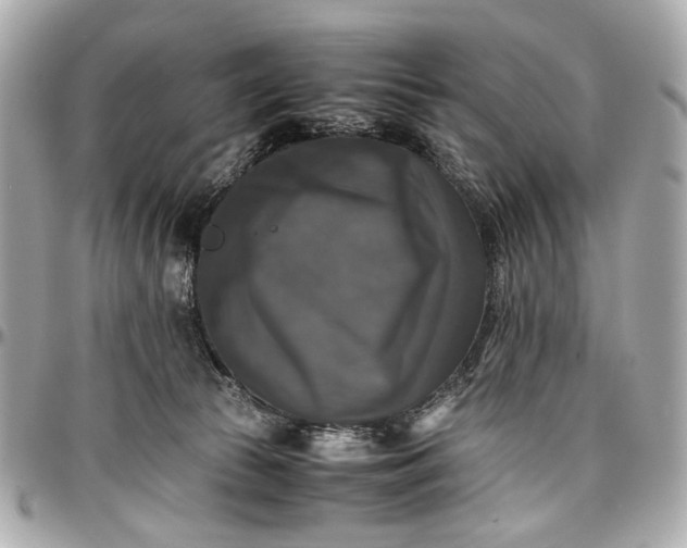 X0000097000177200802221529